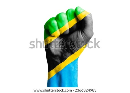 Man hand fist of TANZANIA flag painted. Close-up