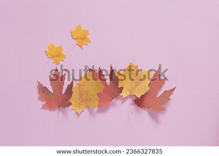 Creative fall layout with colorful leaves against a pink pastel background. Minimal autumn, thanksgiving, or Haloween concept. Copy space.