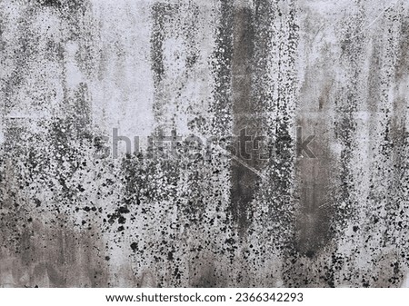 a photography of a black and white photo of a wall with a fire hydrant, padlocked concrete wall with a black and white paint job.