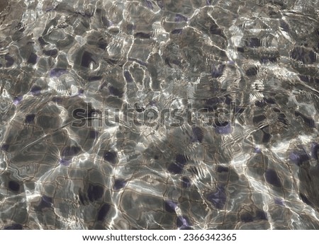 a photography of a pool with clear water and purple bubbles, sea starfishs are swimming in a shallow pool of water.