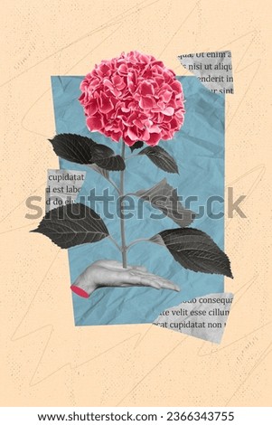 Photography postcard image collage concept of female arm presenting beautiful pink hydrangea isolated on beige color drawing background