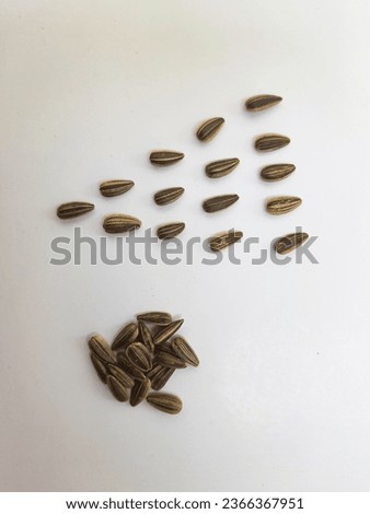 Closeup of pile and heap of a black color sunflower seeds with shell texture isolated on white background