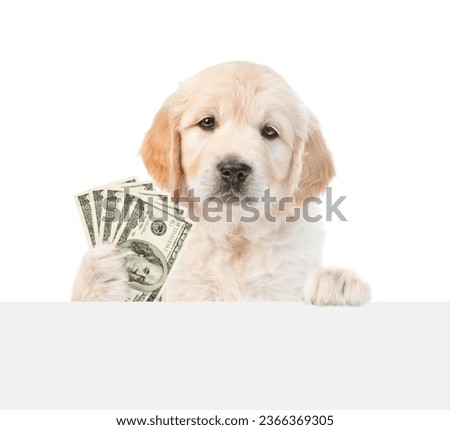 Cute Golden Retriver puppy wearing eyeglasses looks above empty white banner and shows dollars usa. isolated on white background