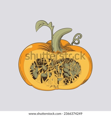 Pumpkin slices showing the seeds and fibers attached to them with contrasting colors