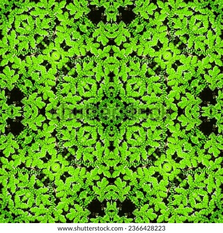 The green pattern, pattern  are generated  from the nature picture 