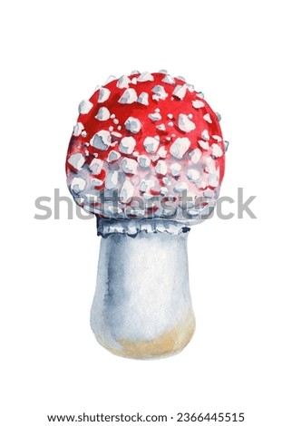 Mushroom isolated background. Watercolor botanical illustration. Hand-drawn. Fly agaric watercolor