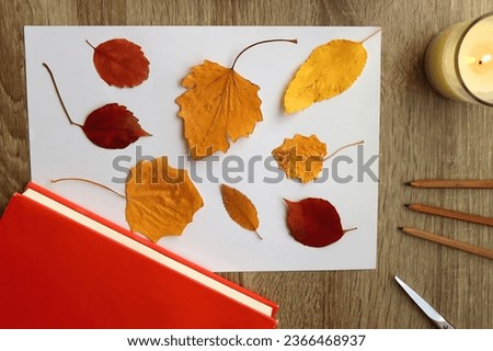 Paper with pressed colorful leaves, book, scissors, pencils, picture frame, scented candle and decorative pumpkin on the table. Making autumnal themed herbarium at home. Top view.