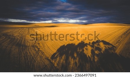 An aerial photo of harvested wheat fields in the Overberg region of South Africa with high contrast light