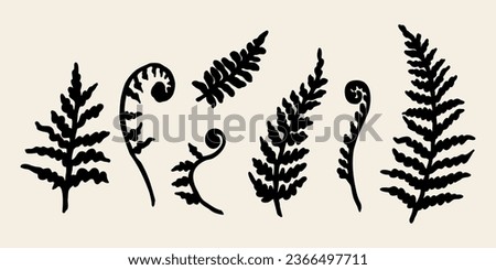 Flat vector fern branch illustration	 Royalty-Free Stock Photo #2366497711