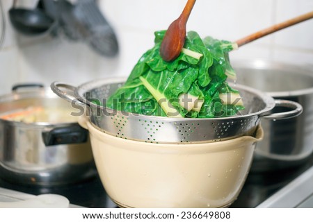 Preparing healthy lunch in the kitchen, blanching chard using kitchen utensils Royalty-Free Stock Photo #236649808