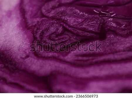 Macro photography, vegetable details,purple color