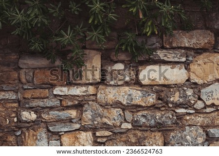 beautifully textured dry stone wall. Massive stone background with green plants. Mossy rustic italian stone wall closeup photo texture. Green moss on stone closeup. Old, rough, gray wall background.