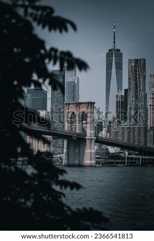 Brooklyn Bridge with a tree in the foreground and the one world Trade Center in the background
