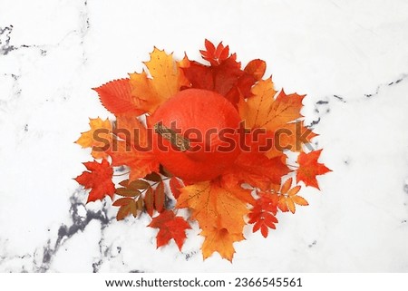Autumn abstract composition with maple leaves, pine cones, nuts, melons and rowan berries, still life, Thanksgiving concept, seasonal background, banner or screensaver, greeting card or invitation 