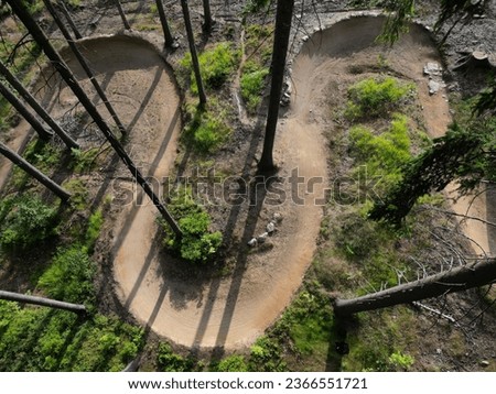 forest in which there is a track for bicycles trail tilted bends one after the other dug in the ground into perfect shapes mountain bikes even for children, glade, sun, shadows, racing  new, lawn