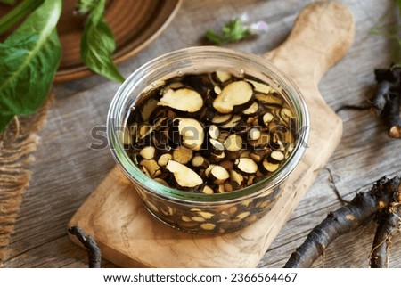 Macerating chopped comfrey or knitbone root in alcohol in a glass jar to prepare herbal tincture Royalty-Free Stock Photo #2366564467