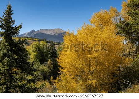 Fall Foliage in Colorado High Country Royalty-Free Stock Photo #2366567527