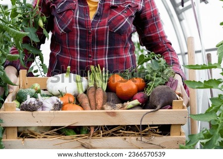 a farmer woman holds a wooden box with fresh harvested vegetables in the setting sun, a close-up photo with a place for text. Concept: biology, bio-products, bioecology, vegetarianism, veganism