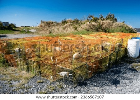 Lobster traps on the shore of a fishing marina in North Carolina.