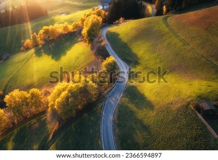 Aerial view of road in alpine meadows and hills at sunset in autumn. Top view of rural mountain road, orange trees in fall. Colorful landscape with country roadway, forest, hills, grass in Italy