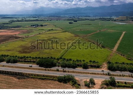 Cane crops in northern Cauca
