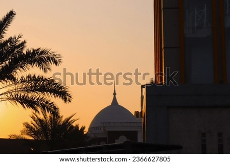 The evening light forms the silhouette of an exotic date palm tree in the Islamic Center area of ​​Indramayu