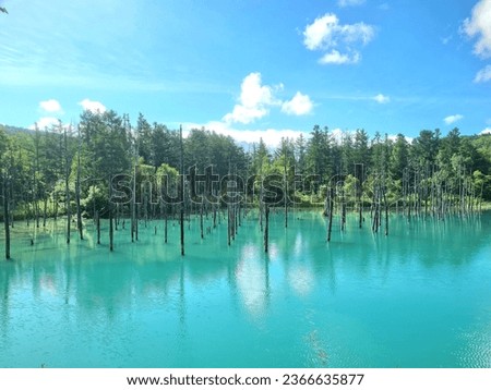 The beauty of Hokkaido's shirogane blue pond in the morning during summer in Japan
