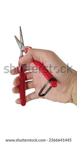 hand holding garden scissors with a white background

