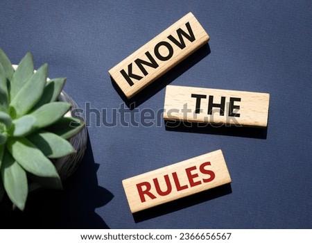 Know the rules symbol. Wooden blocks with words Know the rules. Beautiful deep blue background with succulent plant. Business and Know the rules concept. Copy space.