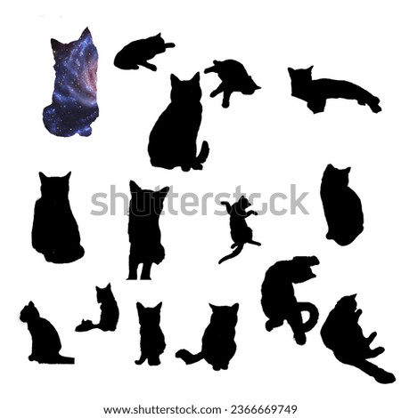 Collection of little cats showing various expressions.