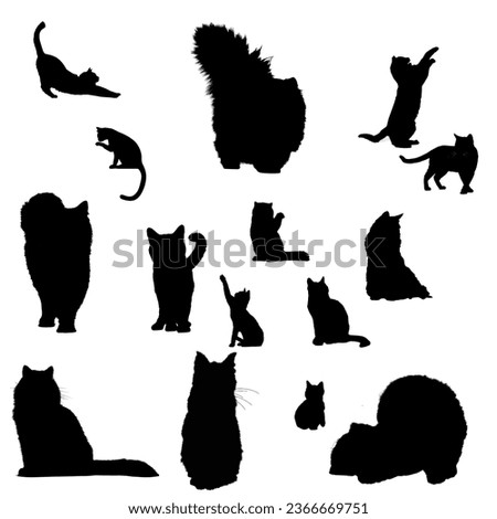 Collection of little cats showing various expressions.