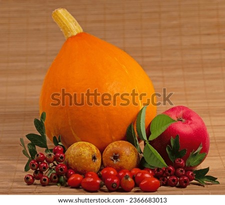 Colorful vitamin-rich fruits in autumn