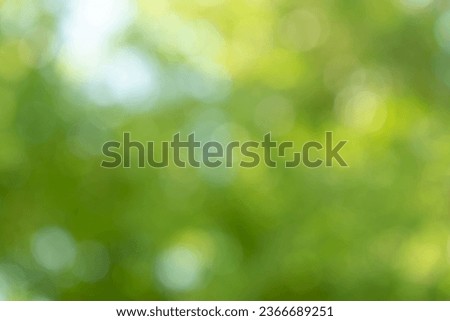 Green light bokeh nature background.Abstract blurred nature background with bokeh for creative designs.Blurred greenery background in garden and sunlight with copy space.Spring background.