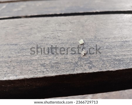 Garden bench wooden table texture. There are ketapang flowers on it