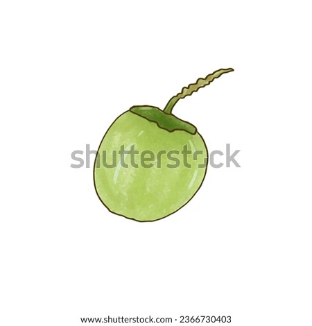 Cute and simple hand drawn illustration of coconut 