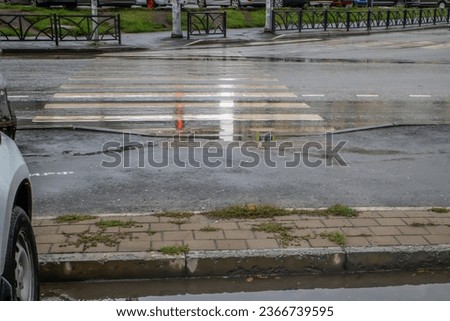Zebra crossing on a rainy autumn day