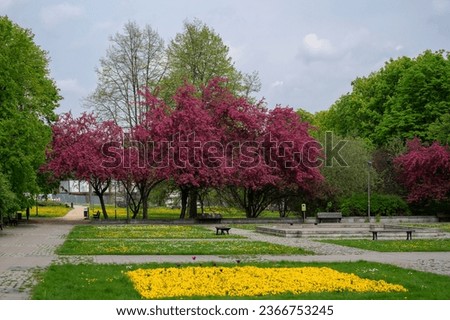 View of the blooming flowers and green scenery at The Palace on the Isle also known as Baths Palace in Warsaw's Royal Baths Park, Poland.