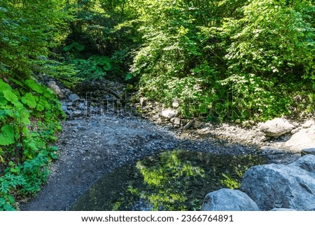 view from the Trekking trail to the Polycorya Waterfall through the forest in the mountain resort of Krasnaya Polyana, Sochi, Russia Royalty-Free Stock Photo #2366764891