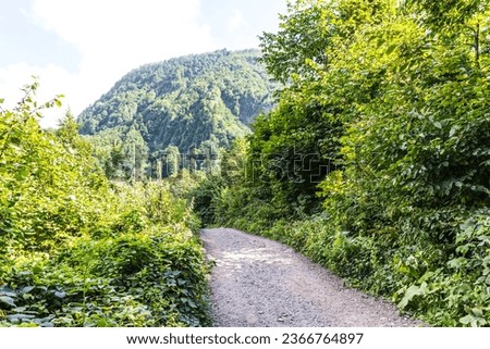 view from the Trekking trail to the Polycorya Waterfall through the forest in the mountain resort of Krasnaya Polyana, Sochi, Russia Royalty-Free Stock Photo #2366764897