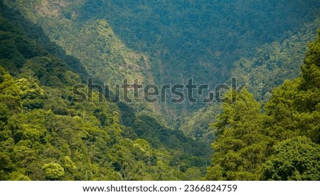 Puntang mountain valley, dense forest