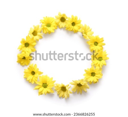 Frame made of beautiful yellow chrysanthemum flowers on white background