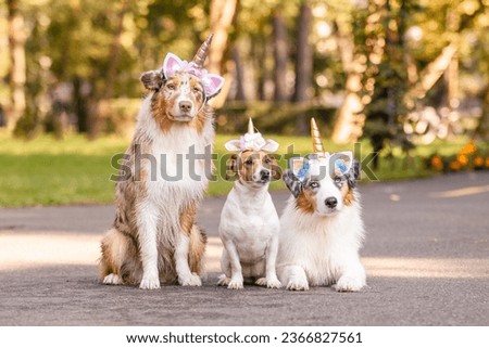 Three dogs dressed in unicorn hoops sit in the park
