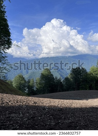 mountain walk on a sunny summer day