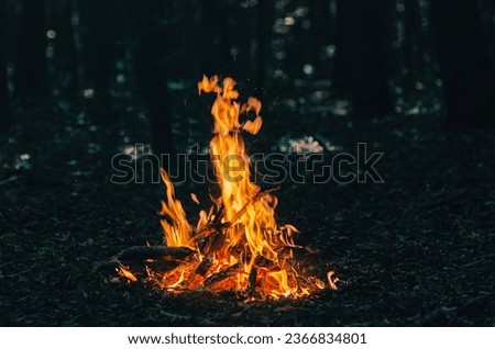 Contrast photo of bright fire against a background of dark trees. Bonfire in forest.