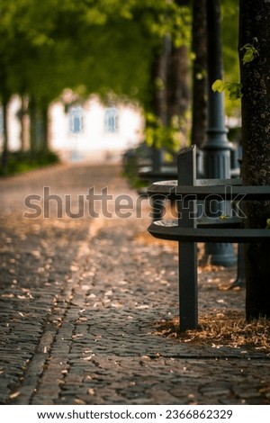A magical photo of nature in Osnabrück that captures the beauty and tranquility of this city in northwest Germany. The picture shows a picturesque landscape characterized by lush green forests and ...