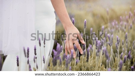 Hand, lavender flower and walking woman in garden or nature for calm, peace and aromatherapy from plants. Medicine, sustainability and person in a landscape with natural herbal ecology in spring Royalty-Free Stock Photo #2366866423
