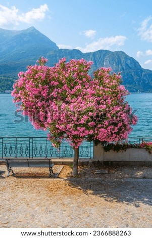 Blooming trees and flowers at Bellagio lakeshore promenade. Como Lake, Lombardy, Italy Royalty-Free Stock Photo #2366888263