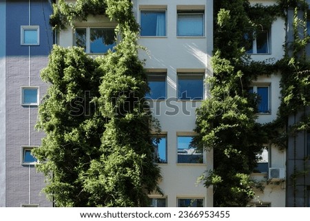 Outdoor exterior view of typical modern old facade cover partly by green climbing plant.