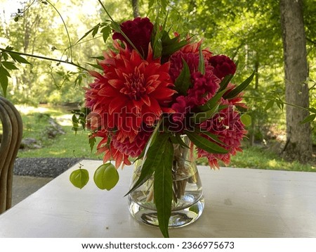Red and green flower arrangement with dahlias, cockscomb and love in a puff vine in a glass vase on an outdoor table in rural Pennsylvania