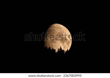 Beautiful moonrise over the mountains with tree silhouettes in the foreground